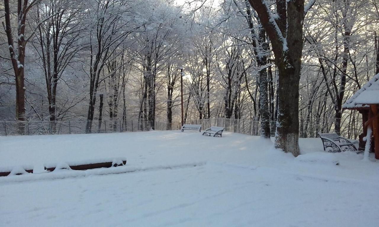 Zatyshok Hotel Svalyava Luaran gambar